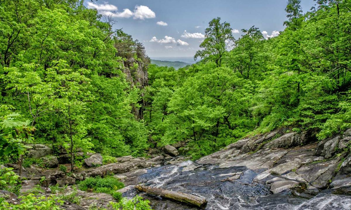 The Slow Dissolution of the Public Square